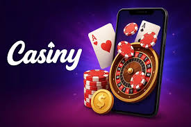Discover the Exciting Offers with Casiny Bonus Code