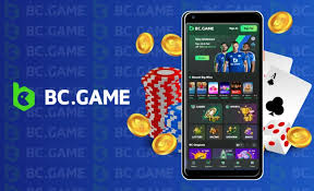 Understanding the Terms and Conditions of BC Game