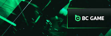 Understanding the Terms and Conditions of BC Game