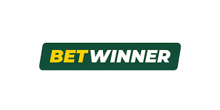 BetWinner Sportsbook Where Betting Meets Excitement