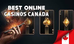 Best Online Casinos in Canada Your Ultimate Guide -253346558