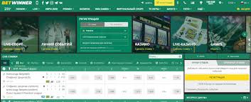 Comprehensive Guide to the BetWinner Platform