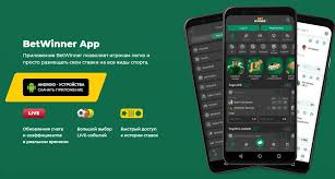 Exploring BetWinner Bonus Details Maximizing Your Betting Experience
