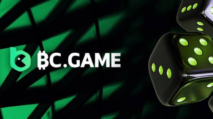 Ultimate BC.Game Registration Guide for Players -312512401
