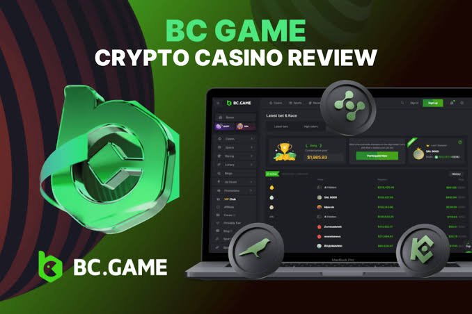 Understanding the BC.Game Login Process A Step-by-Step Guide -430077635 Understanding the BC.Game Login Process A Step-by-Step Guide -430077635